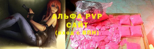 индика Аркадак