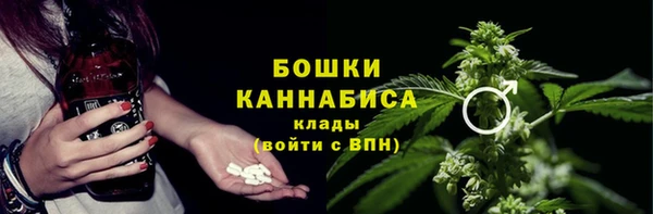 индика Аркадак
