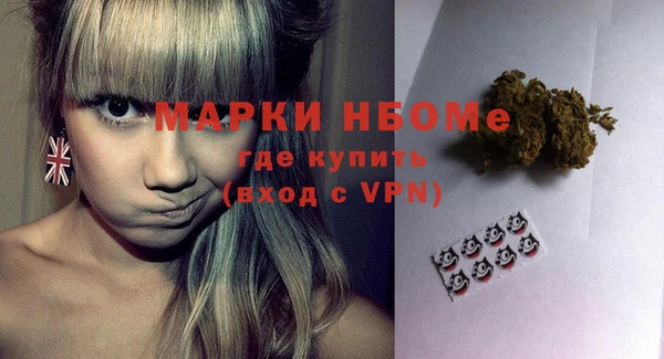 индика Аркадак