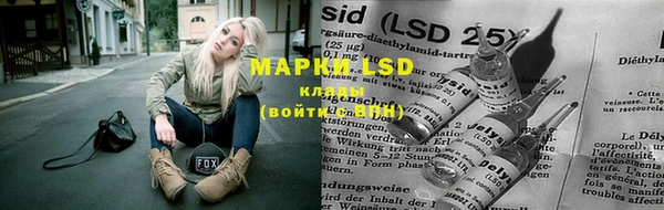 винт Армянск