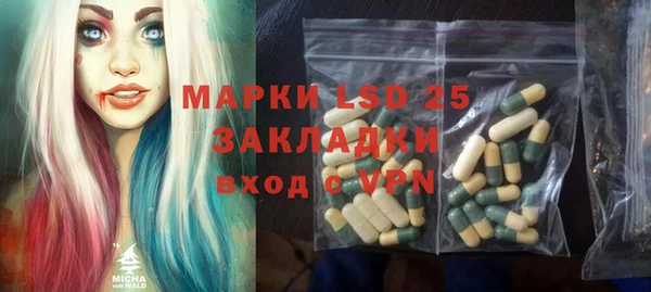 индика Аркадак